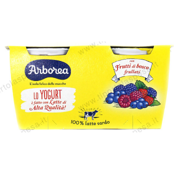 Italian Yogurt 2x125g Mixed Berries