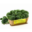 Broccoli Florets  Frozen 400g (Orogel)