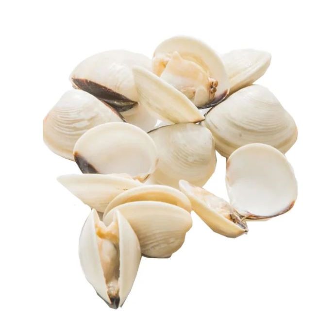 Hard-Shell Clams Partially Cooked 40–60 Pcs/kg - 1kg All Natural & Msc