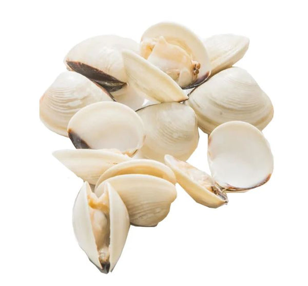 Hard-Shell Clams Partially Cooked 40–60 Pcs/kg - 1kg All Natural & Msc Certified
