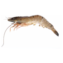 Prawns - White Hoso Semi Iqf 8-10 Pcs 1 Kg - Frozen