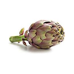 Artichoke Mammole  1 Pcs -350g  (FRESH FROM ITALY)