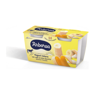 Italian Yogurt 2x125g Banana