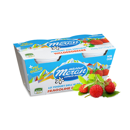 Italian Yogurt 2x125g Strawberry EXP.26/12/24