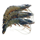 Black Tiger Prawns Iqf 16/20 1 Kg (Frozen) - Good Food