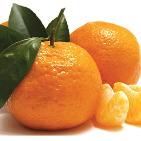 Mandarin Sorbet 2.5 LT (FROZEN) - Good Food
