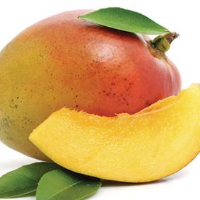 Mango Sorbet 2.5 LT - Good Food