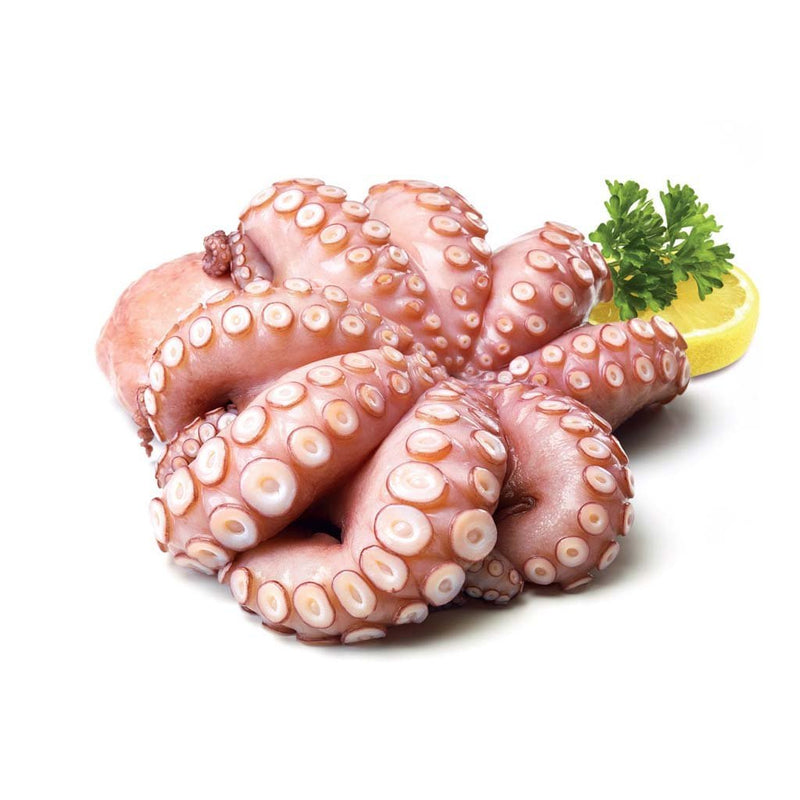 Octopus - Frozen IQF from Spain 1.80-2.30 kg - Good Food