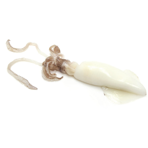 Raw Squid Whole Cleaned 10-15 Cm / 1 kg Bag (Frozen) - Good Food